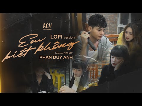 Em Biết Không (Lofi Ver) - Phan Duy Anh | Người Ta Sống Với Em Thế Nào Sao Hương Sắc Em Phai Màu...