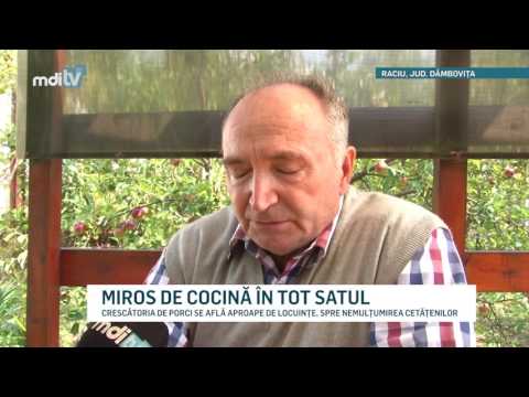 MIROS DE COCINA IN TOT SATUL   YOUTUBE