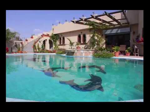 Elegant Pools design 1