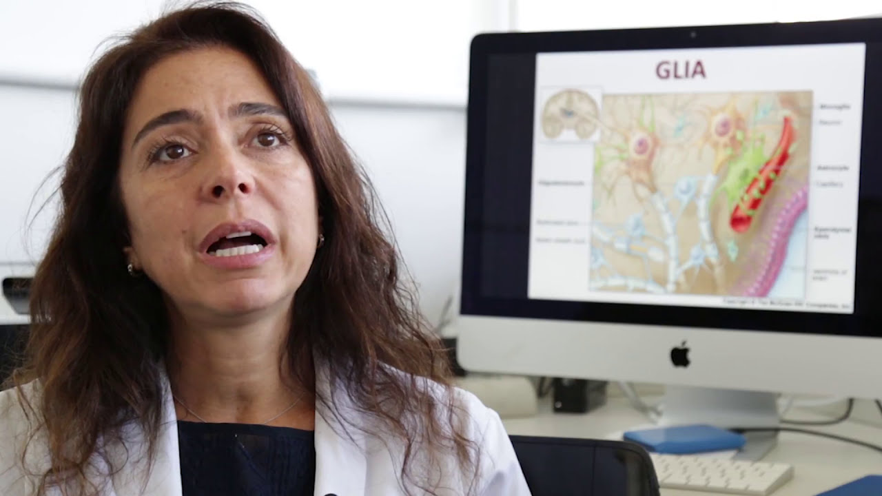 Autismo: causas, sintomas, diagnóstico, tratamento | NDC 01