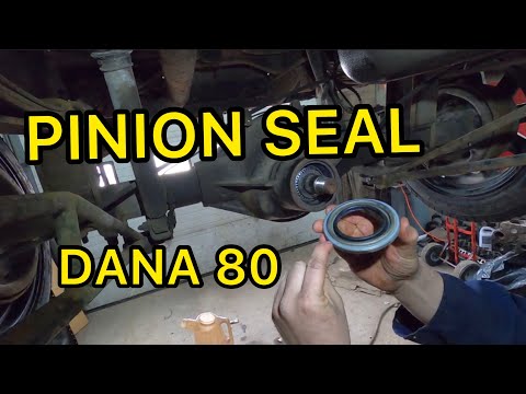 HOW TO change a Dana 80 pinion seal.