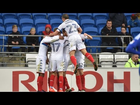 GREAT CELEBRATIONS: Jubilant scenes at Cardiff City on Saturday!