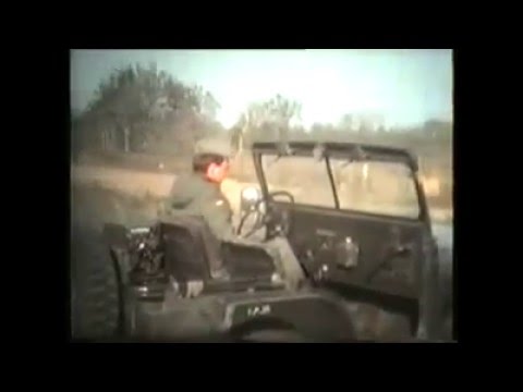 1981 | Schwarzer Bär