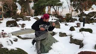 NOVELISTS - Heal The Wound Guitar Cover at the japanese garden