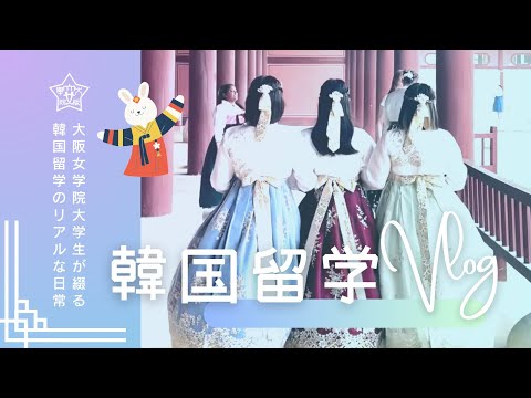 【Wilmina Channel】韓国留学のリアルな日常 Vlog
