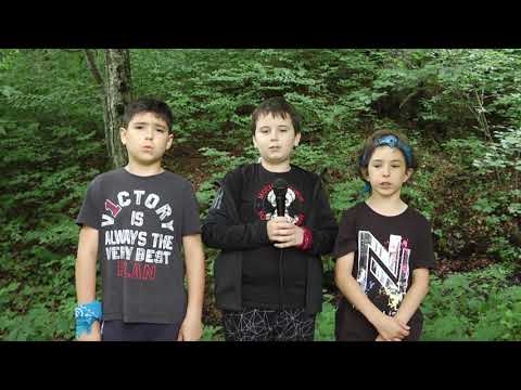 Luca, Felix, Mihnea - "Un lup a venit la stană și a mâncat o oaie", Tabăra TV Dicție.ro