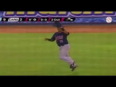 Tigres de Aragua Campeón LVBP 2008