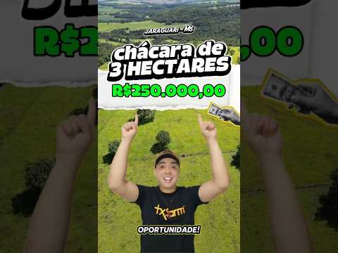 Oportunidade Única: Chácara de 3 Hectares a Venda Perto de Campo Grande. R$250.000,00