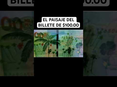 El paisaje del billete de $100,000 pesos #salento #quindio  #trip #viaje #turismo #colombia #fyp