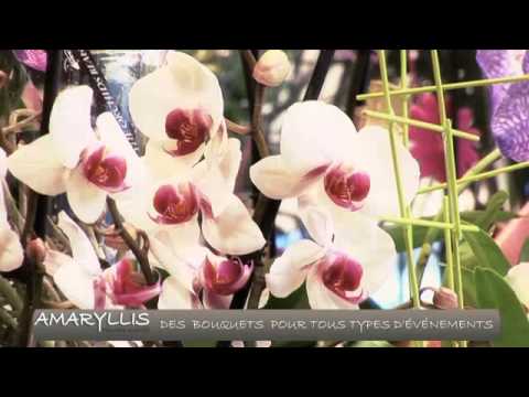 download lagu mp3 mp4 Fleuriste Lille Livraison, download lagu Fleuriste Lille Livraison gratis, unduh video klip Fleuriste Lille Livraison