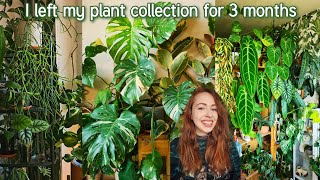 Finally seeing my plants after leaving them for 3 months 🌿👀
