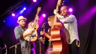 The Stray Birds - Best Medicine