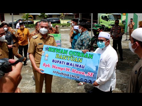 pembagian-bantuan-hewan-qurban-malinau