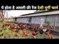 वकील साहब का Free Range Desi Poultry Farm Free Range Chicken Farming Desi Poultr