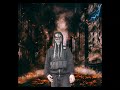 Psycho Like Michael Knightspade Lil Rose Mafia Rob Ak47 Diss JB Abyss Prod By Rev Panmorgue