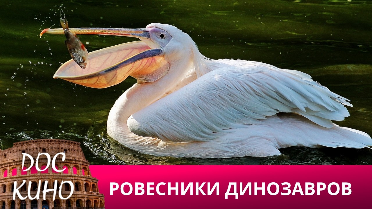 🎭РОВЕСНИКИ ДИНОЗАВРОВ 🌎 ДОКУМЕНТАЛЬНОЕ КИНО 🎆 2025