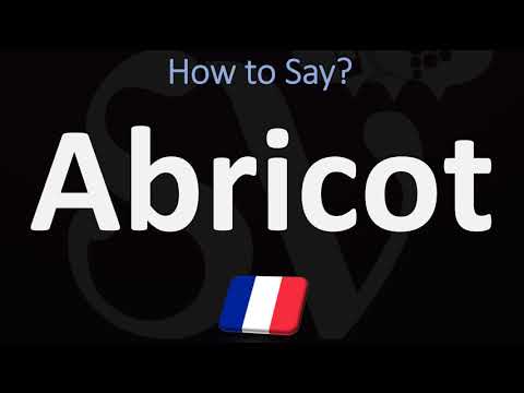 How to Say ‘APRICOT’ in French? | How to Pronounce Abricot?