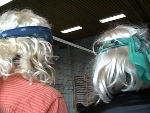 La question c'est VOLLEY-VOUS?