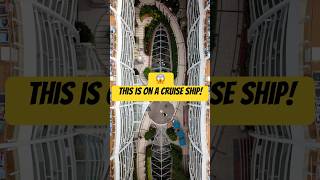 I can’t believe this is on a cruise ship! 😱