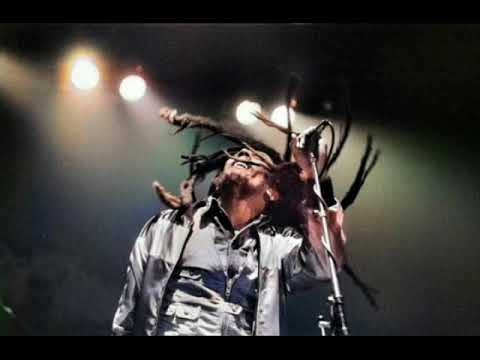 Bob Marley "Redemption Song" Live Zurich 80 HD