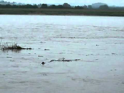 Tide turning on the River Severn
