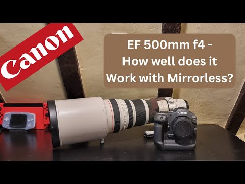 Canon 500mm F4 L IS i USM - Image 2