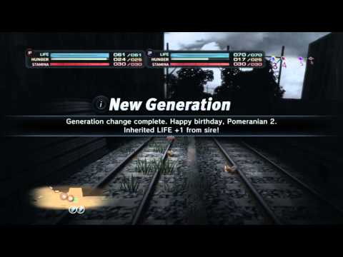 Playing With Doilys: Let's Play! Tokyo Jungle - Pomeranian Multiplayer Survival Pt.1