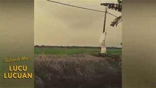 Download lagu KOMPILASI RANDOM PARA TOLOL 2019 mp3 Download lagu KOMPILASI RANDOM PARA TOLOL 2019 mp3