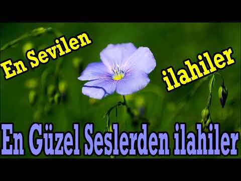 💛 En Güzel Seslerden İlahiler 💛 10 Ayrı Sanatçıdan İlahi Şöleni 💛 En Sevilen Karışık İlahiler Dinle