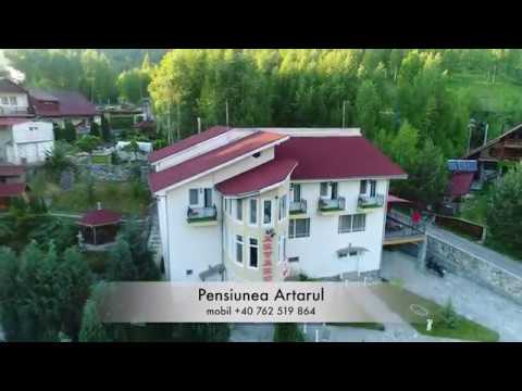 Pensiunea Artarul - Poiana Marului