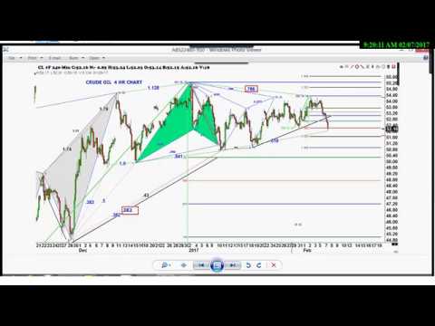 February 7th Trade What You See with Larry Pesavento on TFNN - 2017