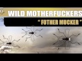 Wild Motherfuckers - Fother Mucker (Radio Edit ...