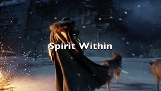 Destiny - Spirit Within (IMV)