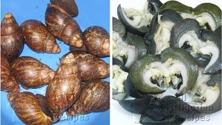 How to Clean Snail (Remove Snail Slime) | Flo Chinyere