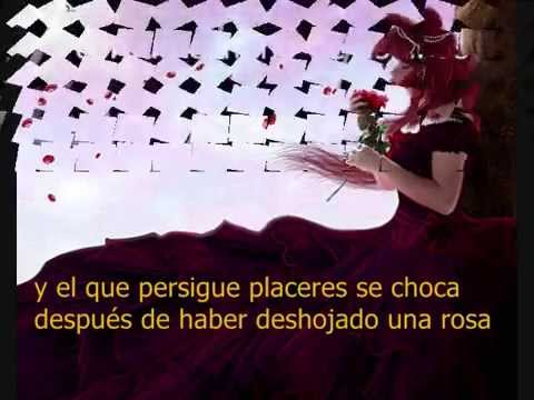 LOS BETOS POR JUGAR AL AMOR  LETRA