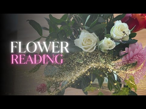 🌸 Pick a Flower 🌼 Timeless Psychic Reading for Guidance & Clarity