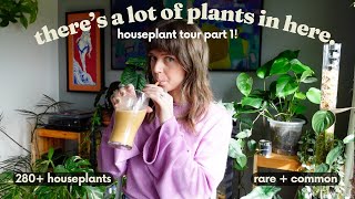 Full Houseplant Tour 2024 🎉🌿 280+ plants in my small house! (PART 1)