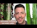 Euphorbia Trigona (African Milk Tree) Care Guide and Growing Tips