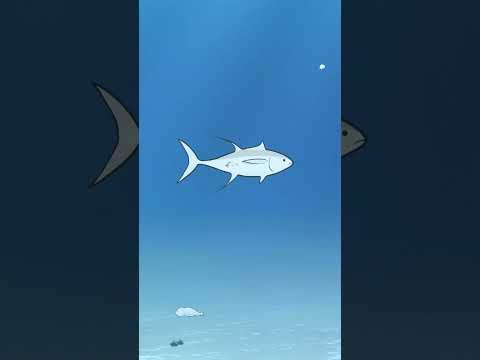 Fishin: Cozy Fishing Game