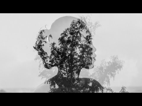 The Disappearance of Shizuka Noriko