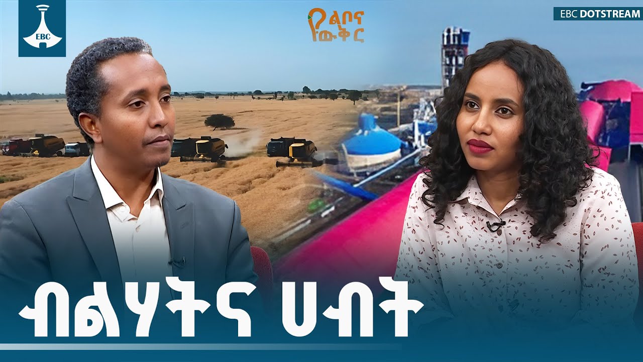 ኢትዮጵያውያን ብልሃት አለን? ብርሀኑ በሻህ (ዶ/ር) | የልቦና ውቅር ETV | EBC | EBCDOTSTREAM