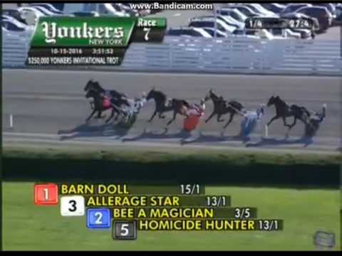 YONKERS INVITATIONAL TROT the winner bee a magician
