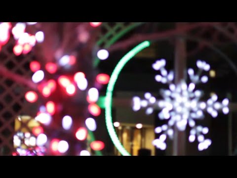 Pittsburgh Technical College - Christmas Light Show