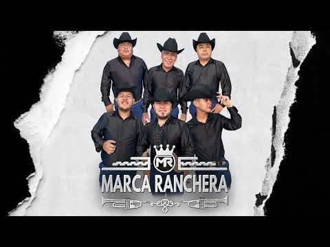 Marca Ranchera - Bambole (Cover) 2026