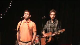 The Magnetic Fields: Born on a Train Cover