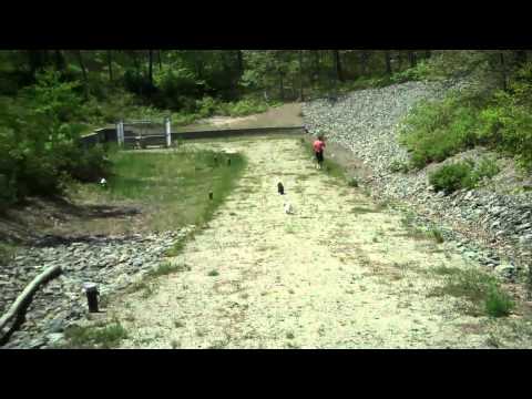 05/27/13 Izzy, Daisy, Grace, Cricket, Romeo, Jules, Mama, Migraine