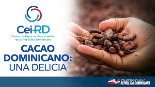 Cacao dominicano: Una Delicia
