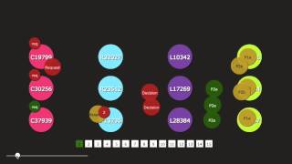 Paxos Visualizer