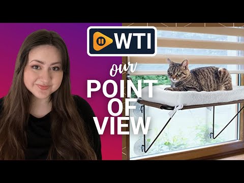 LSAIFATER Cat Window Perch - WTI product video review