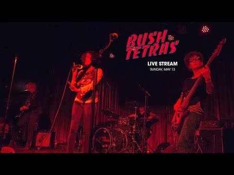 Bush Tetras, live on PressureDrop.tv